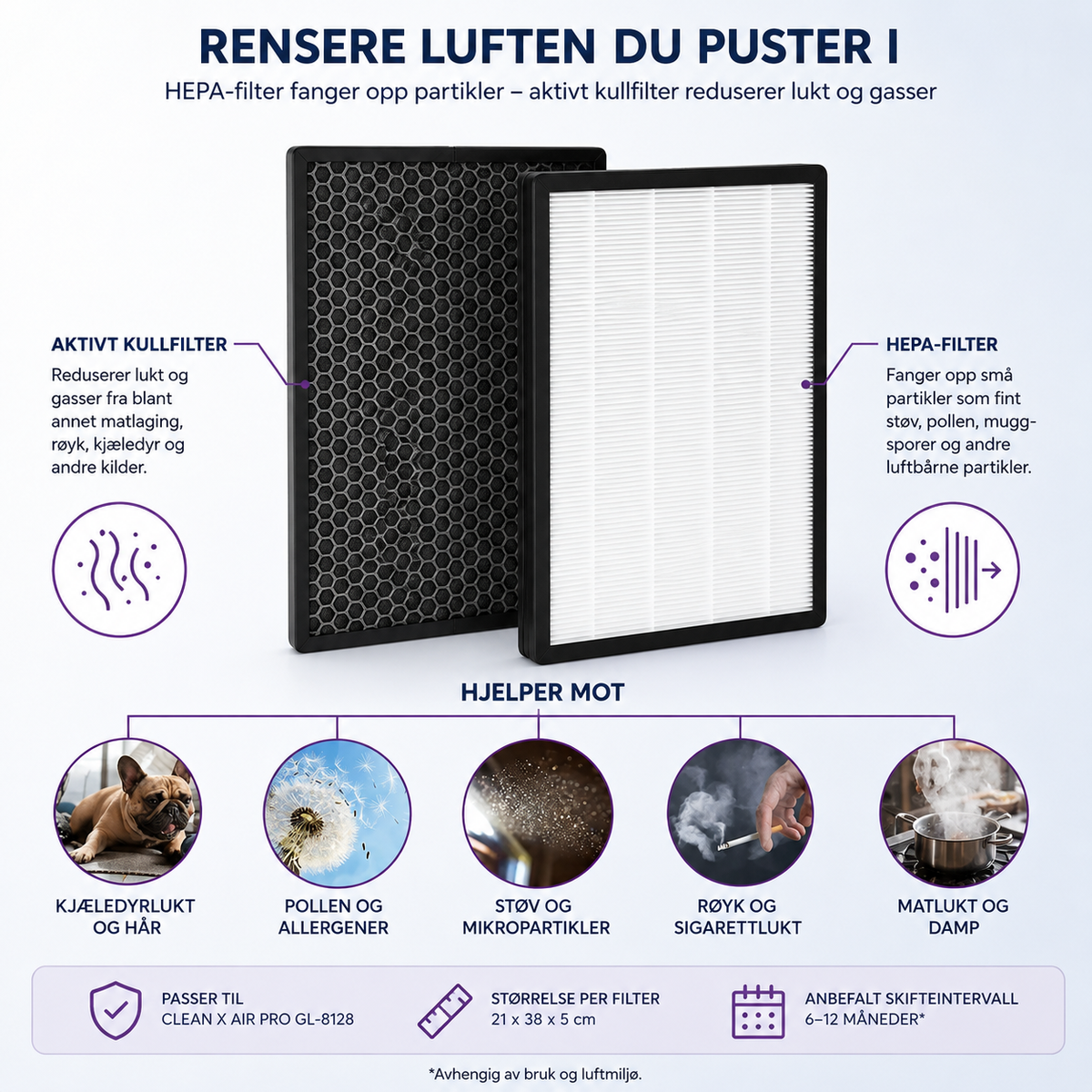 HEPA-filter og kullfilter til Clean X Air Pro